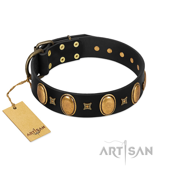 Leather dog collar with stunning studs for fancy walking