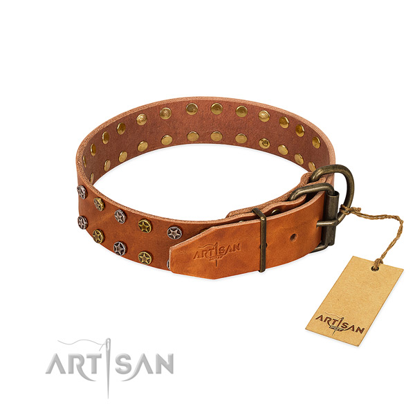 Comfortable wearing genuine leather dog collar with designer studs