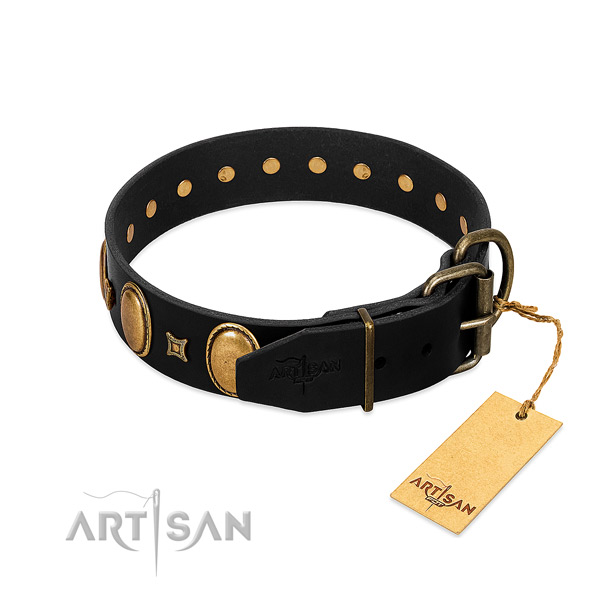 Rust resistant embellishments on daily use dog collar