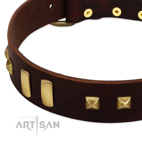 Best quality full grain genuine leather dog collar with embellishments for daily use