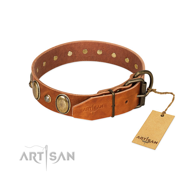 Corrosion proof traditional buckle on leather collar for walking your dog