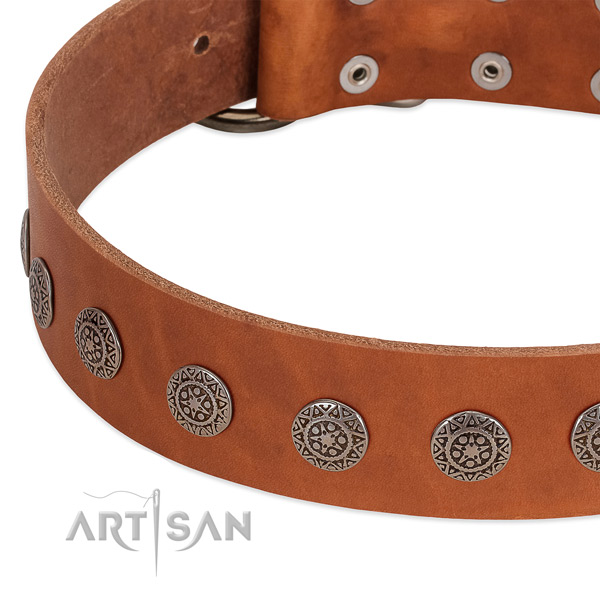 Remarkable collar of natural leather for your four-legged friend