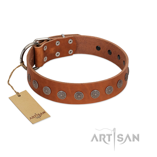 Unusual adornments on leather collar for comfortable wearing your canine