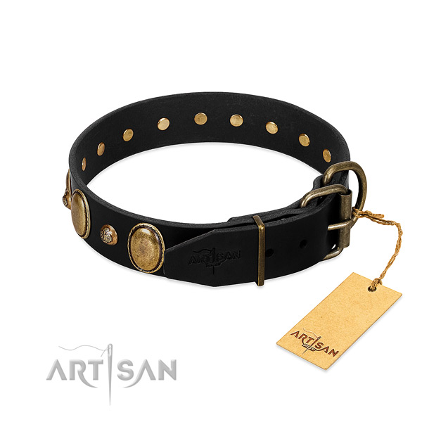 Corrosion resistant hardware on full grain natural leather collar for fancy walking your canine