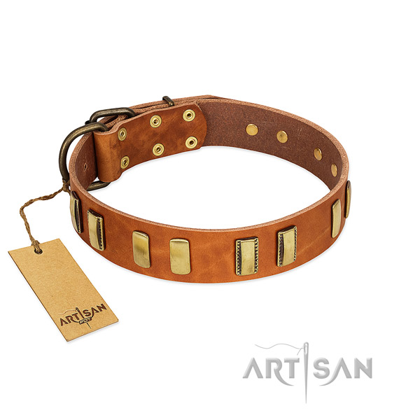 Top notch genuine leather dog collar with corrosion proof buckle