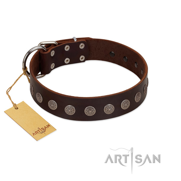 Incredible natural leather collar for your canine