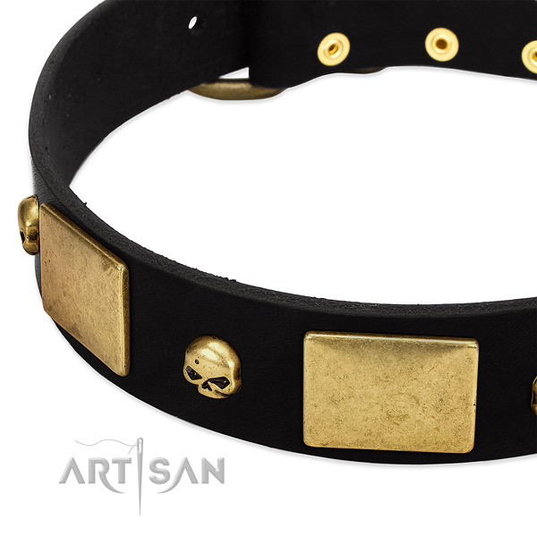 Extraordinary full grain leather collar for your stylish doggie