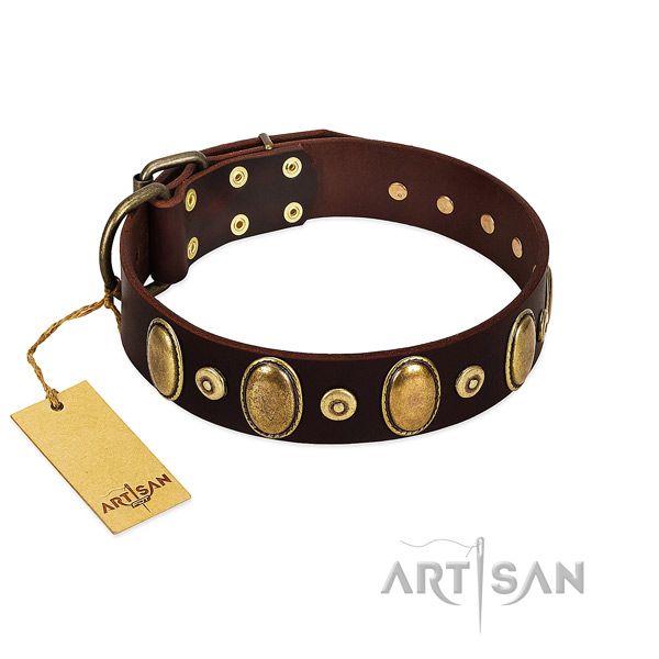 Stylish walking dog collar of full grain genuine leather