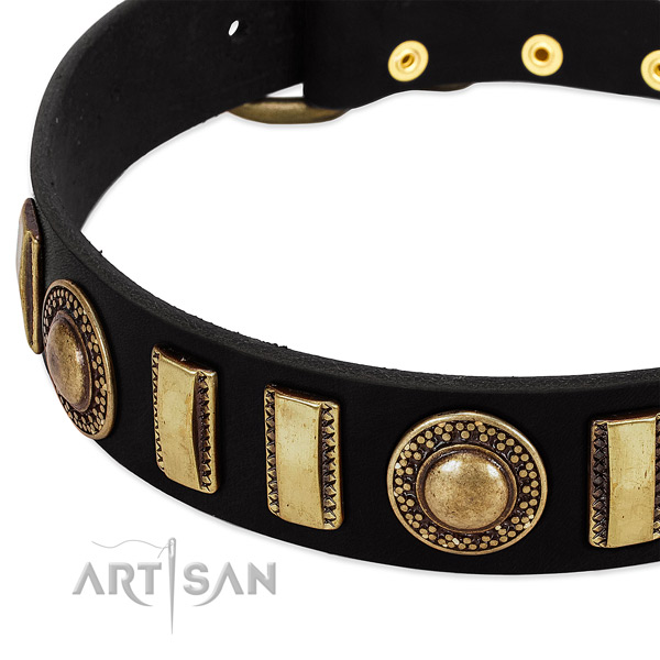 Flexible full grain leather dog collar with reliable hardware