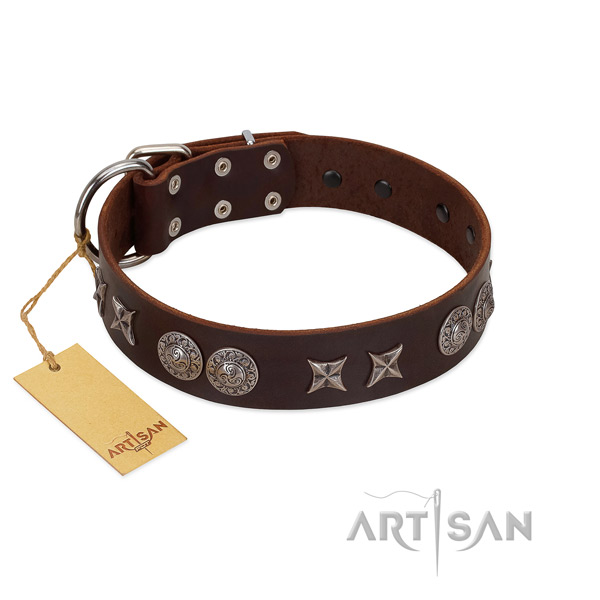 Quality full grain leather dog collar for your impressive four-legged friend