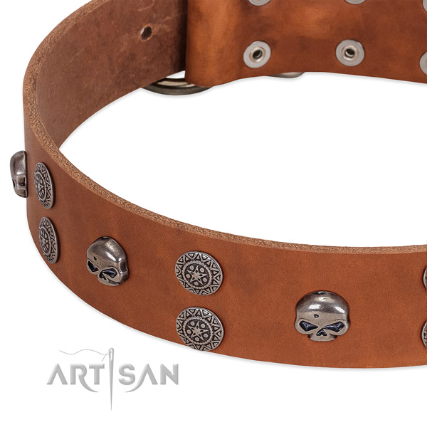 Soft full grain leather dog collar with trendy studs