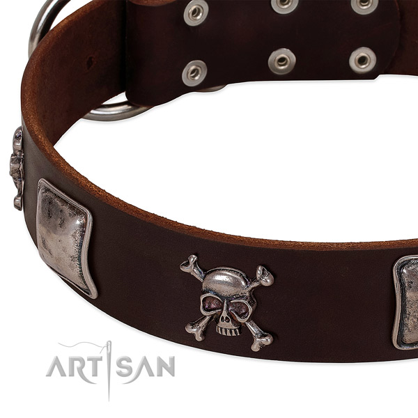 Corrosion proof adornments on full grain leather dog collar