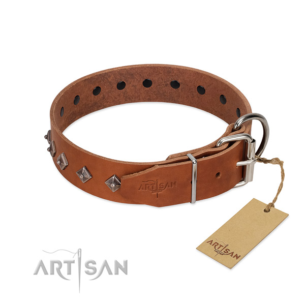 Leather dog collar with exquisite embellishments for your doggie