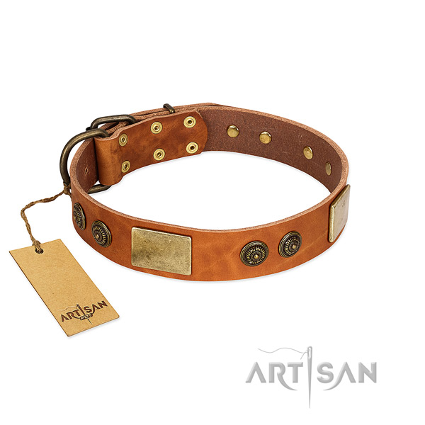 Perfect fit genuine leather dog collar for daily walking