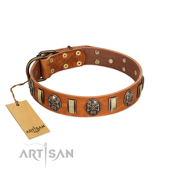 Trendy genuine leather dog collar for easy wearing