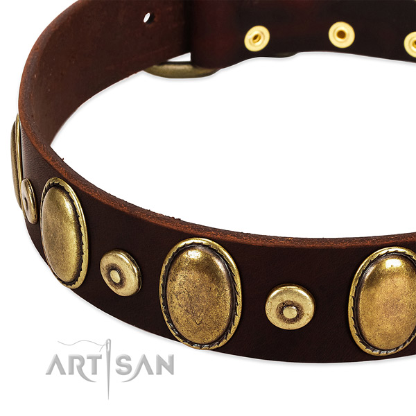 Extraordinary natural genuine leather collar for your handsome canine