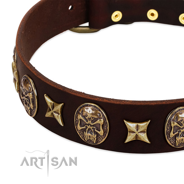 Strong embellishments on leather dog collar for your four-legged friend