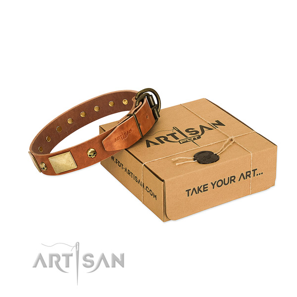 Flexible full grain leather collar with rust resistant studs for your canine