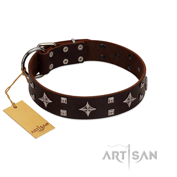 Remarkable full grain leather collar for your dog stylish walks