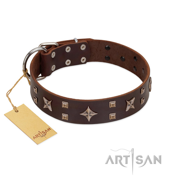 Comfortable wearing full grain natural leather dog collar with exquisite adornments