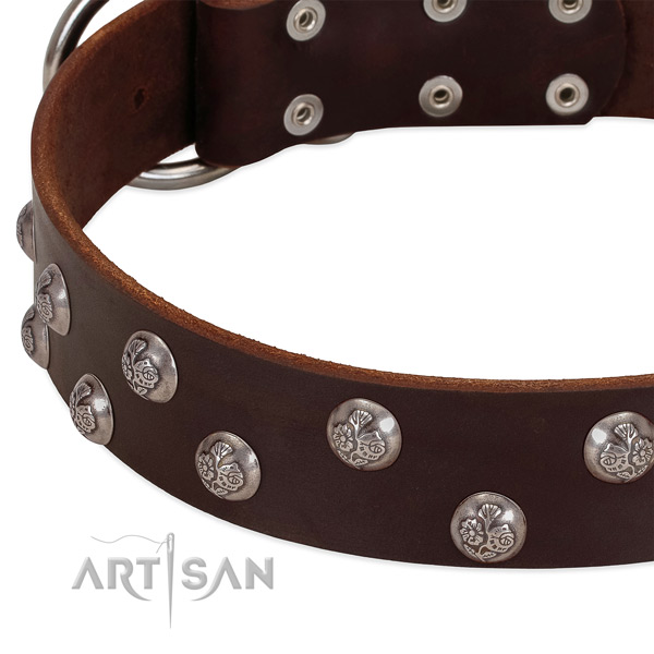 Full grain leather dog collar with reliable traditional buckle and adornments