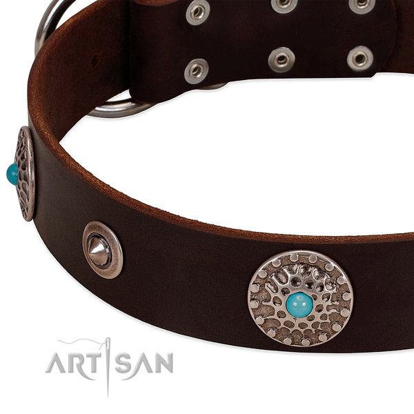 Studded collar of full grain natural leather for your lovely canine