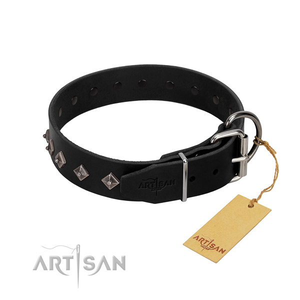 Genuine leather dog collar with impressive decorations for your canine