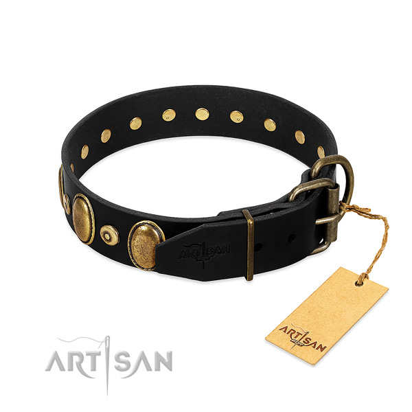 Strong decorations on walking collar for your canine