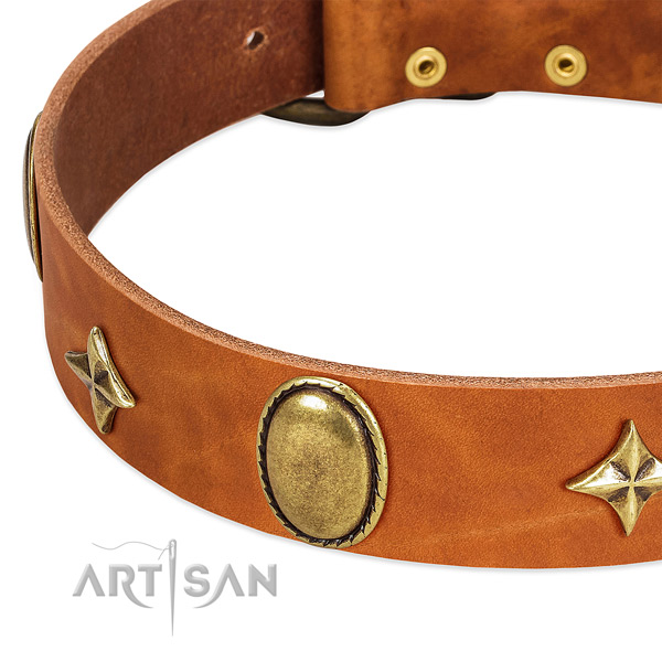 Quality genuine leather dog collar with rust-proof fittings