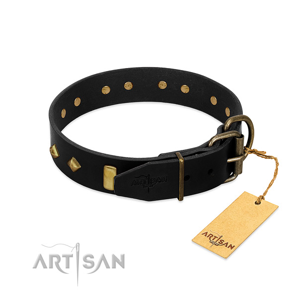 Quality leather dog collar with incredible decorations