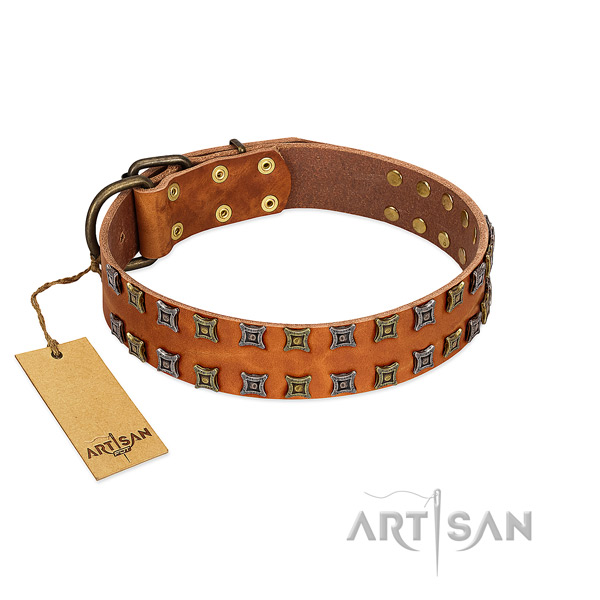 Soft full grain natural leather dog collar with decorations for your four-legged friend