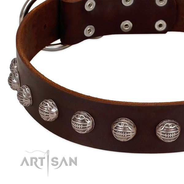 Full grain natural leather collar with amazing decorations for your doggie