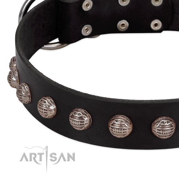 Natural leather collar with designer decorations for your four-legged friend