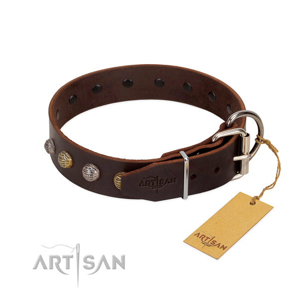 Incredible genuine leather dog collar with rust-proof hardware