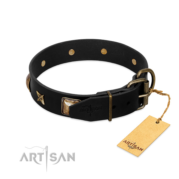 Reliable fittings on leather collar for fancy walking your dog
