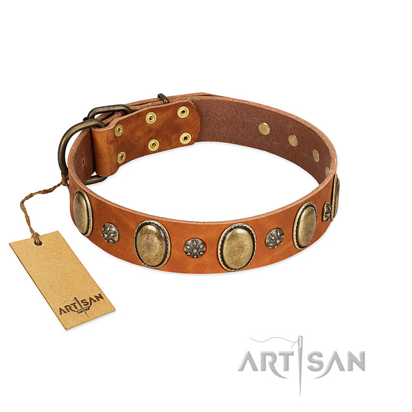 Everyday walking soft full grain genuine leather dog collar with adornments