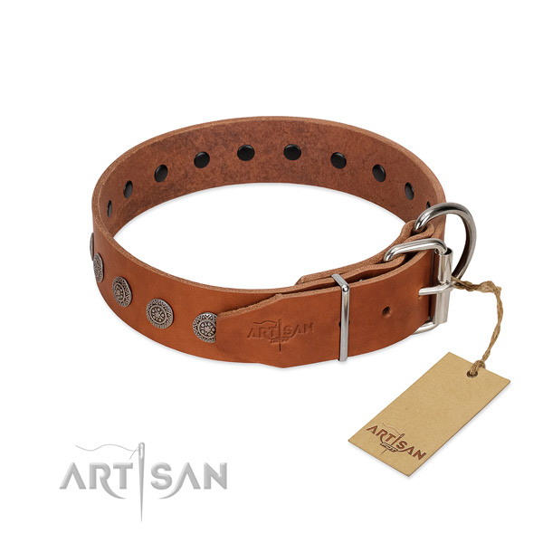 Significant studs on genuine leather collar for fancy walking your pet