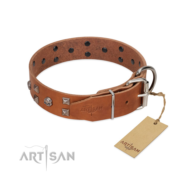 Trendy natural leather dog collar with durable hardware