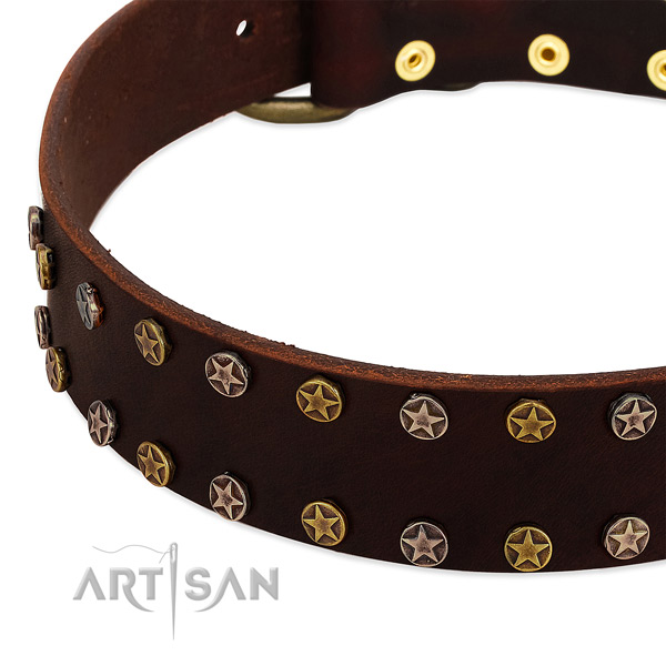 Fancy walking natural leather dog collar with unique decorations