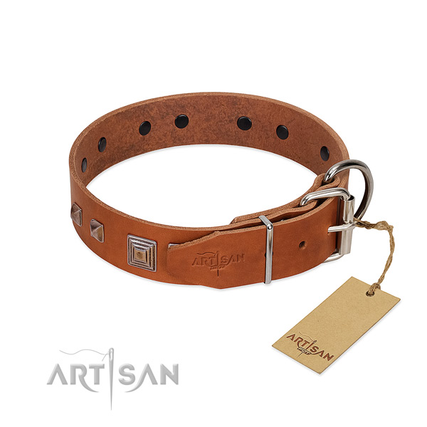 Stylish walking full grain natural leather dog collar with unique embellishments