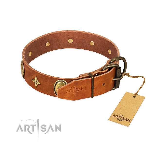 Top rate full grain genuine leather dog collar with exceptional studs