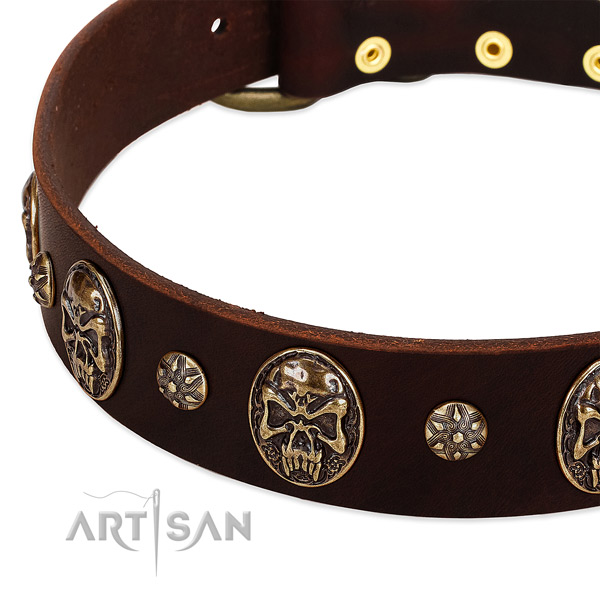 Reliable studs on genuine leather dog collar for your four-legged friend