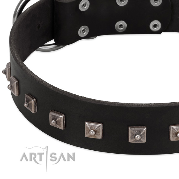 Soft full grain leather collar with embellishments for your pet