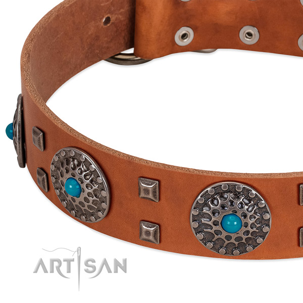 Reliable natural leather dog collar with inimitable studs