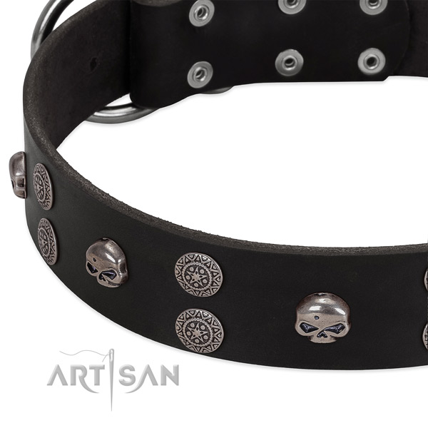 Top notch full grain genuine leather dog collar with trendy studs