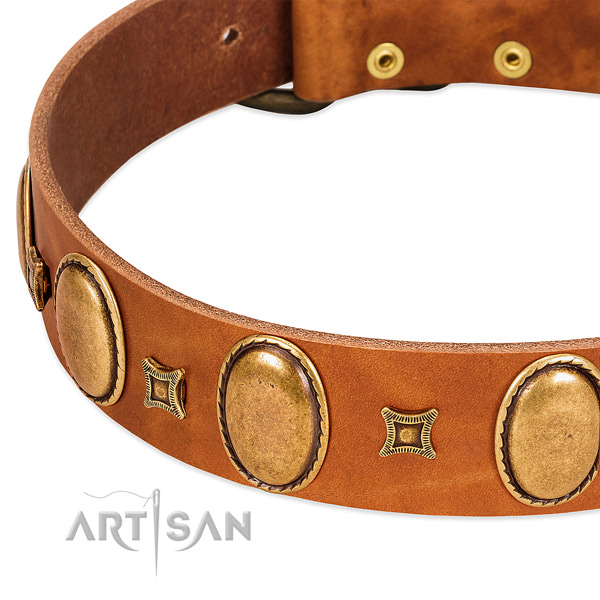 Natural leather dog collar with reliable hardware for comfy wearing
