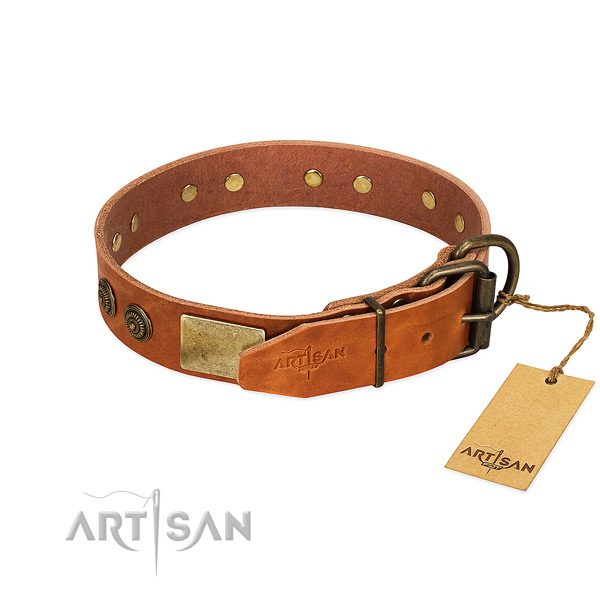 Strong buckle on genuine leather collar for basic training your doggie
