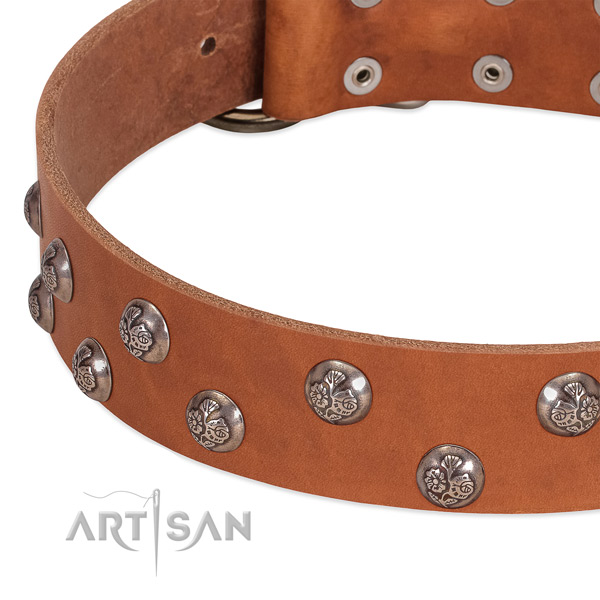 Full grain leather dog collar with strong hardware and studs