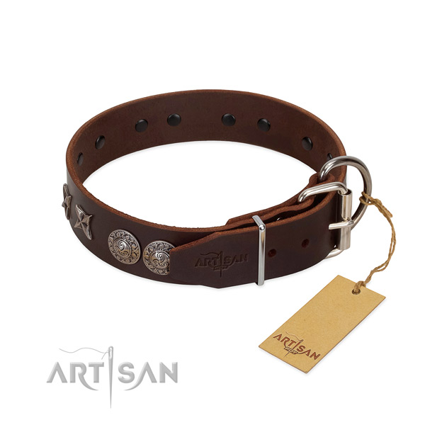 Comfortable wearing dog collar of genuine leather with extraordinary embellishments