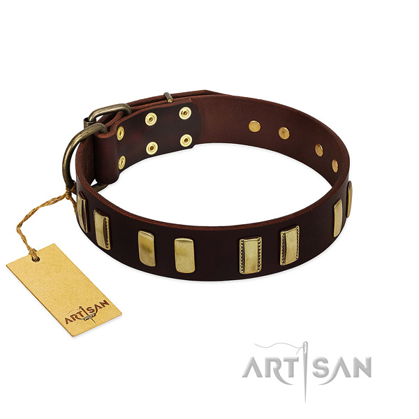 Full grain genuine leather dog collar with strong traditional buckle for stylish walking